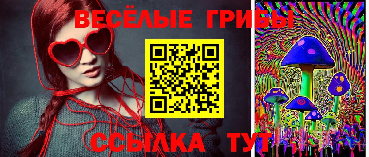 Псилоцибиновые грибы мицелий Раменское